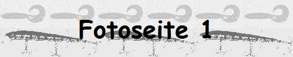 Fotoseite 1
