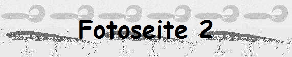 Fotoseite 2