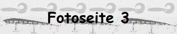 Fotoseite 3