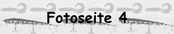 Fotoseite 4