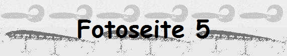 Fotoseite 5