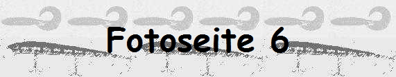 Fotoseite 6