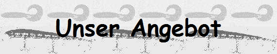 Unser Angebot