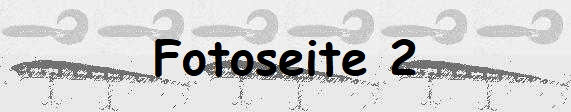 Fotoseite 2