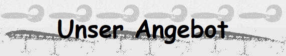 Unser Angebot