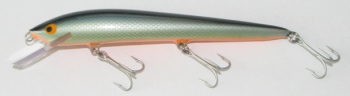 Invincible 15 cm