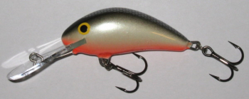 Salmo