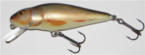 Salmo Perch, 12 cm, 36 Gramm, DR, Farbe RR