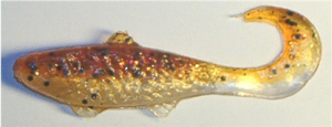 Banjo 4,5 cm, Farbe B023